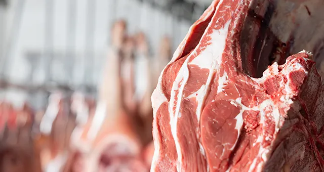 meat processing